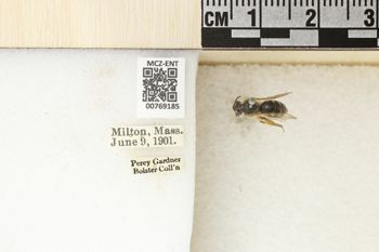 Media type: image;   Entomology 769185 Aspect: Labels